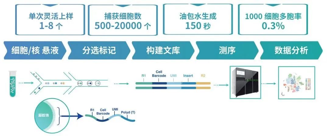 微信图片_20250121104637.jpg